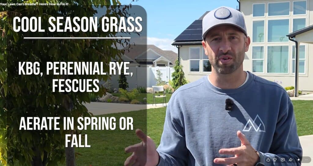 When should you aerate your lawn