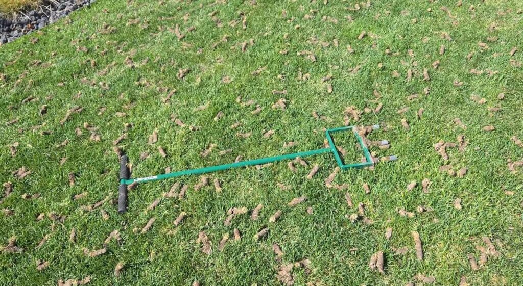 what to do with plugs after core aeration