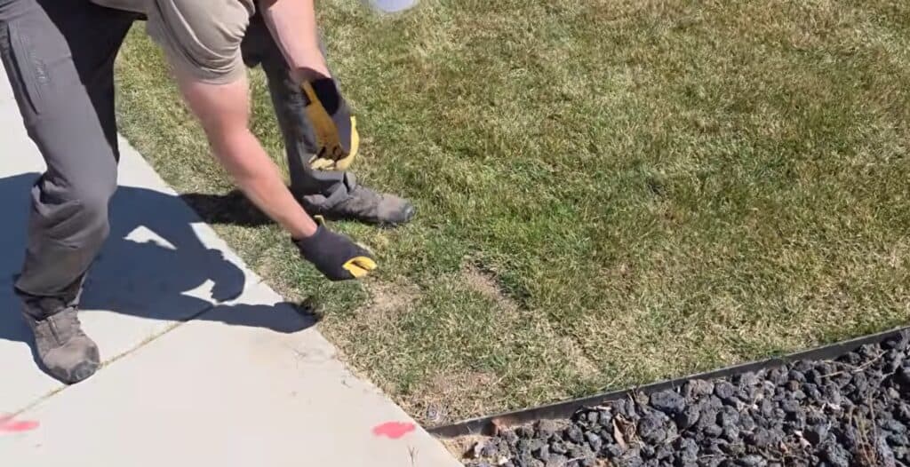 best overseeding videos for beginners on youtube