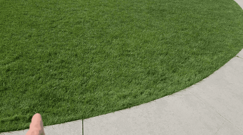 Lawn leveling results