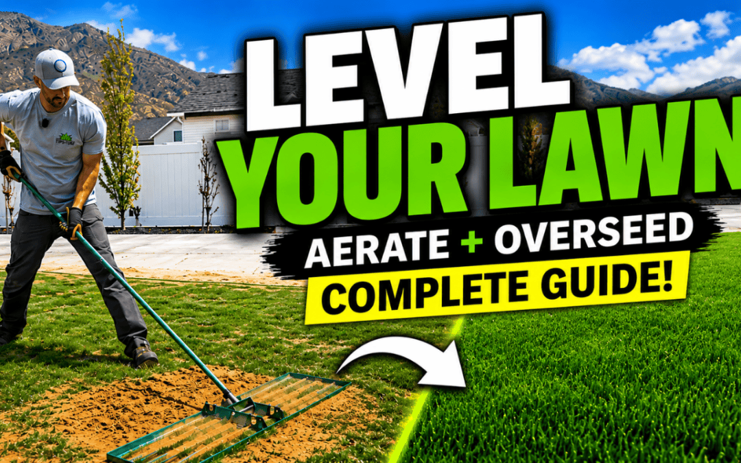 how to level your lawn with sand