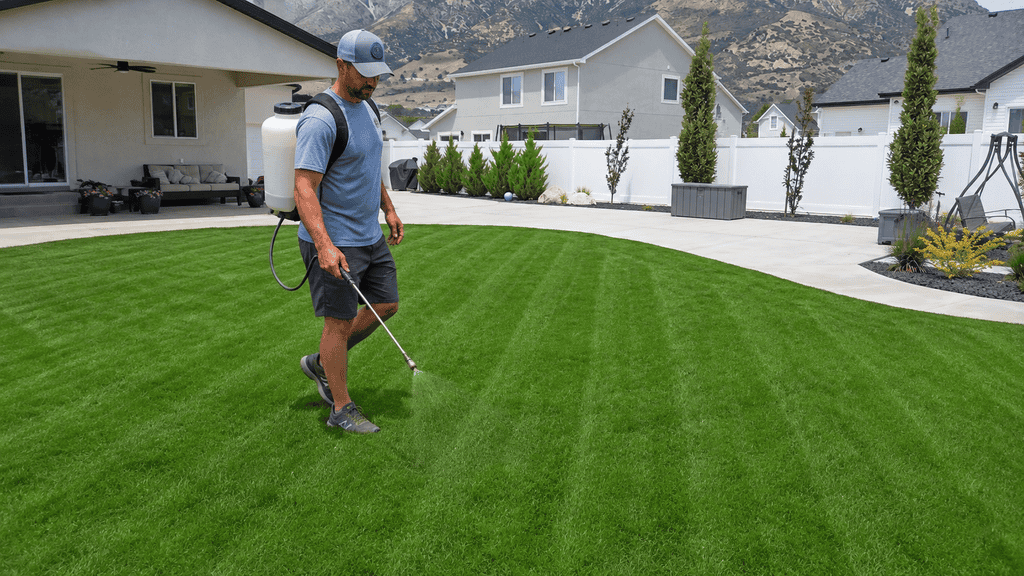use liquid lawn fertilizer to make your grass greener