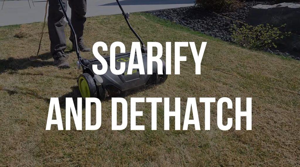dethatch and scarify the lawn when fall overseeding