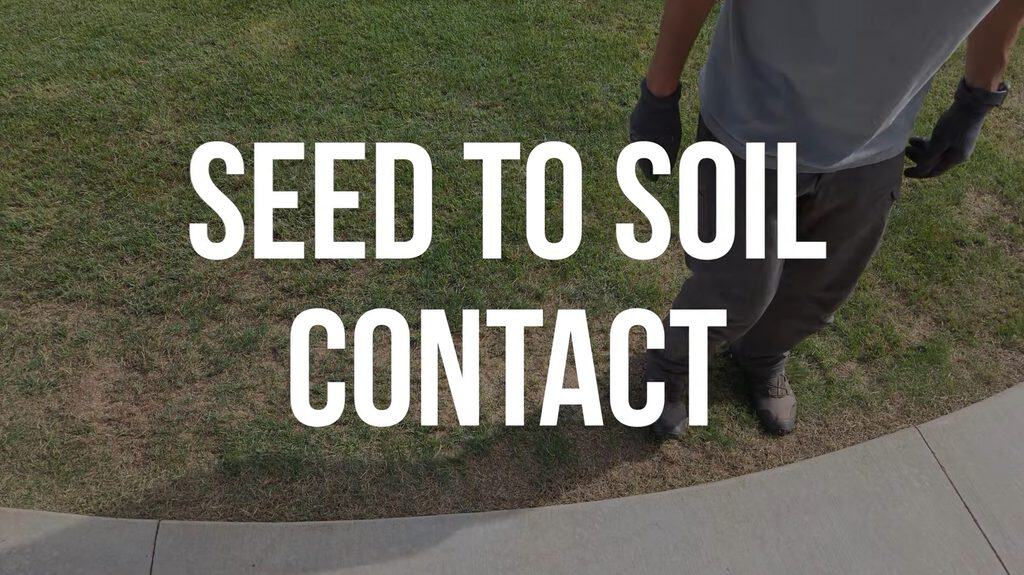 get seed to soil contact after fall overseeding