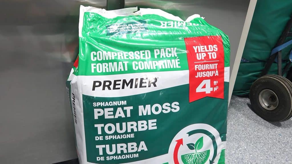 use peat moss on lawn after fall overseeding
