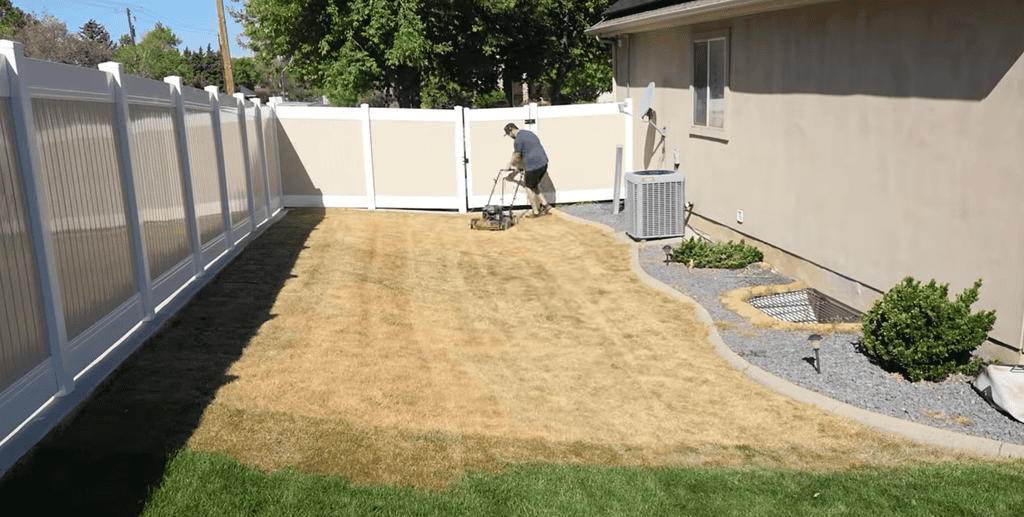 how to kill the existing grass when reseeding your lawn