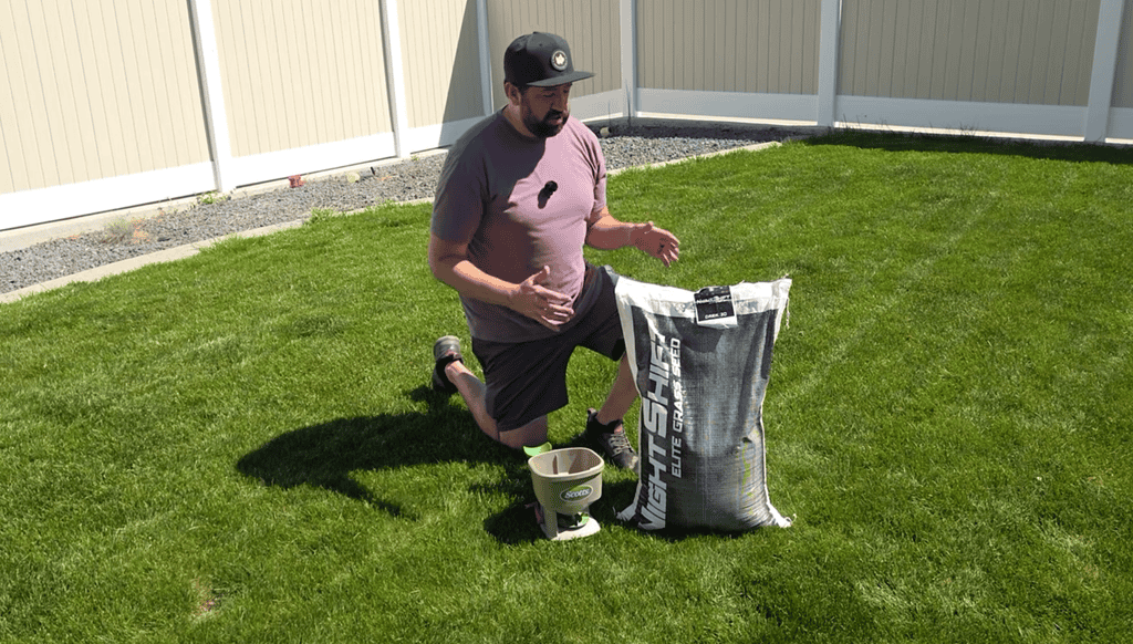 what grass seed to use when reseeding your lawn