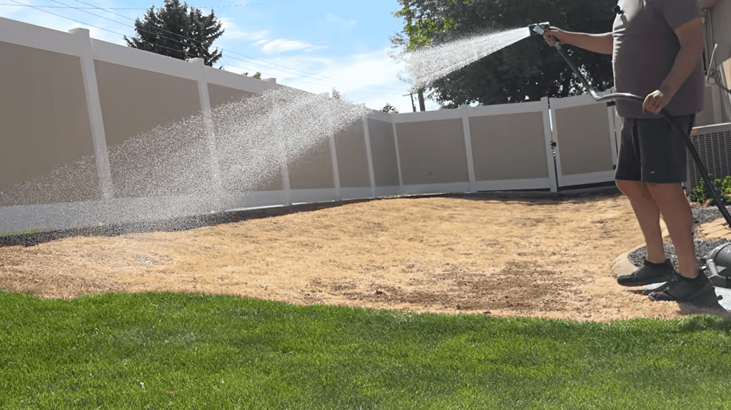 how to water a newly reseeded lawn