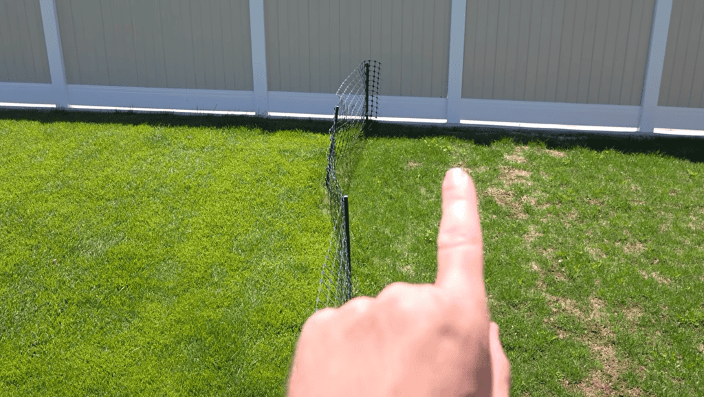 how to take care of weeds in a newly reseeded lawn