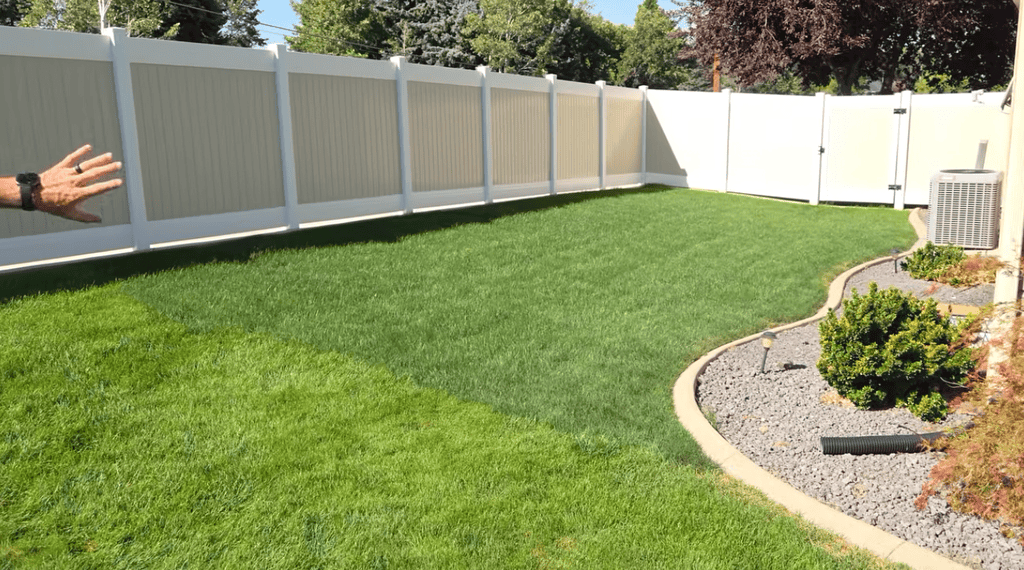 results after reseeding a lawn