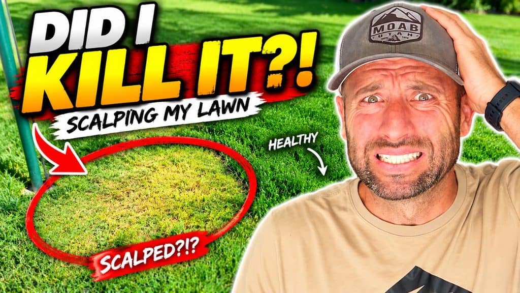 will scalping my lawn kill it?