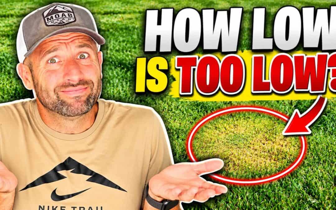 how low is too low to scalp your lawn