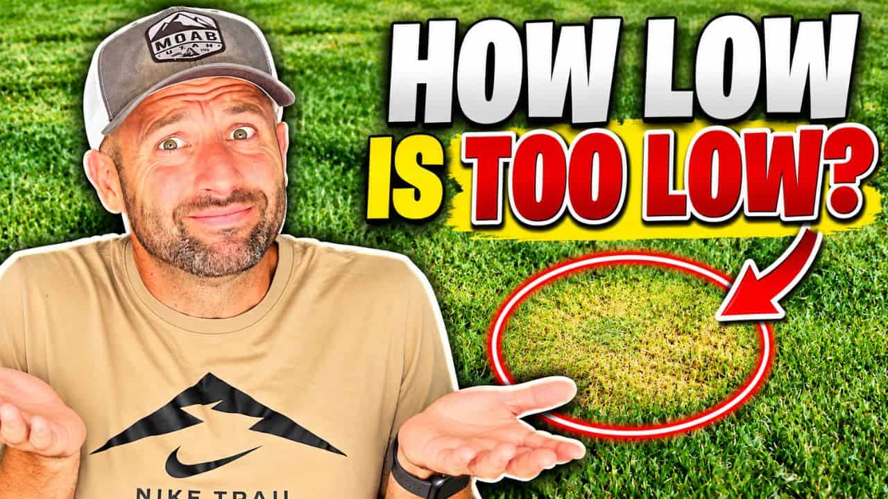 how low is too low to scalp your lawn