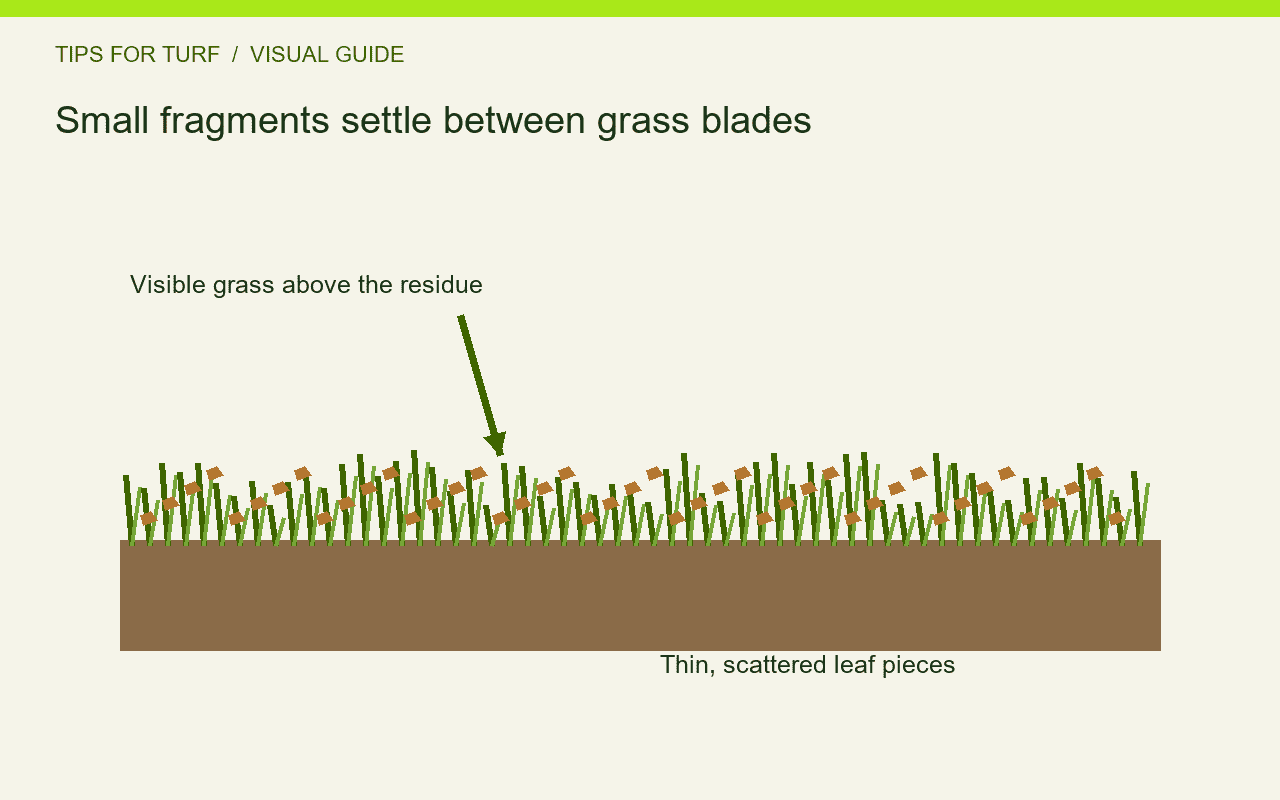Small fragments settle between grass blades — schematic illustration.