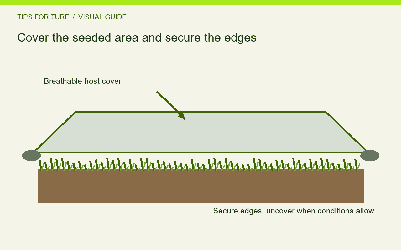 Cover the seeded area and secure the edges — schematic illustration.