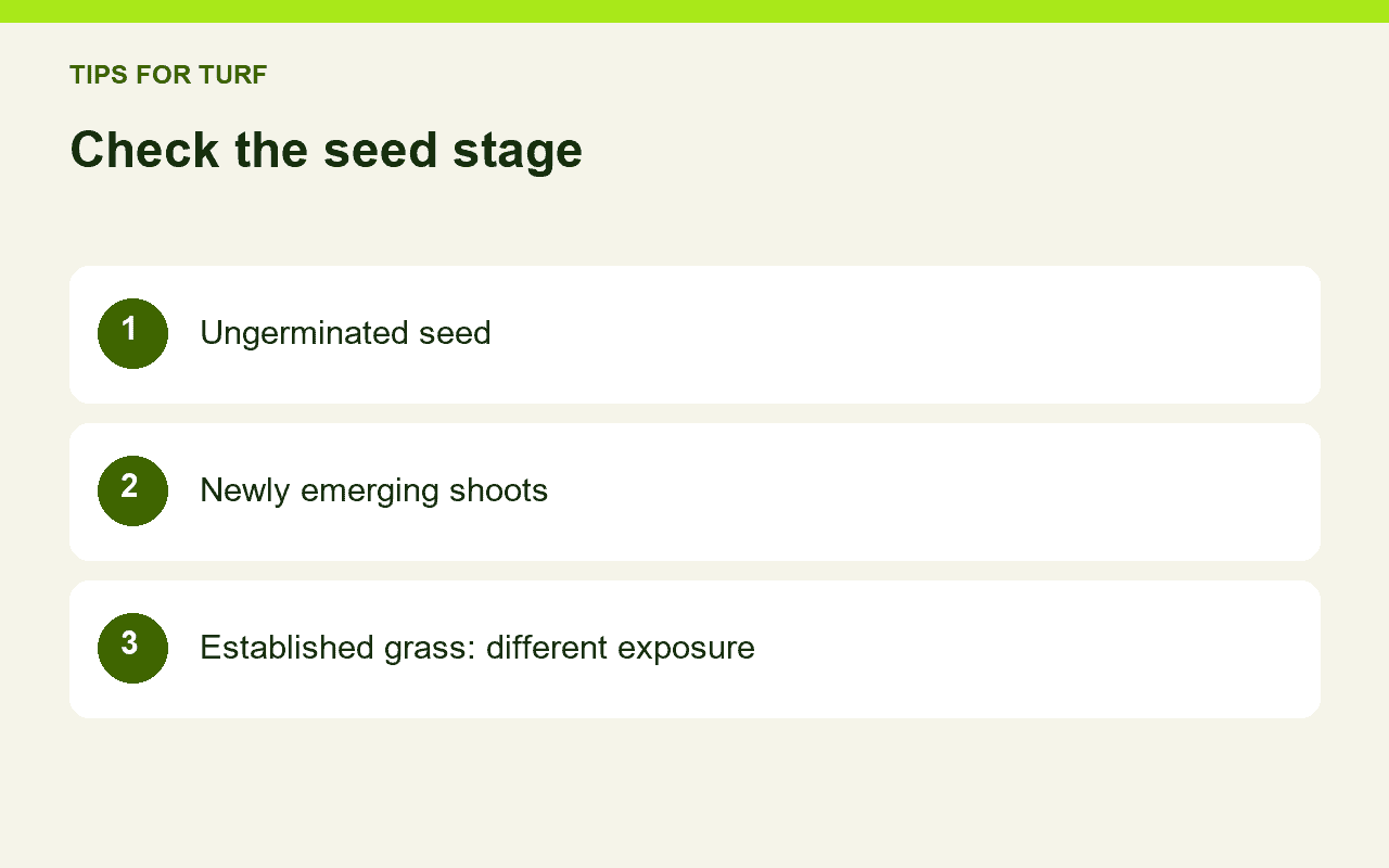 Check the seed stage: Ungerminated seed; Newly emerging shoots; Established grass: different exposure